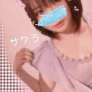 ヒメ日記 2025/04/04 16:31 投稿 サクラ ラブコレクション