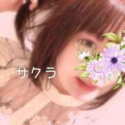 ヒメ日記 2025/04/11 12:16 投稿 サクラ ラブコレクション