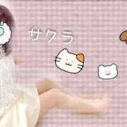 ヒメ日記 2025/04/12 04:46 投稿 サクラ ラブコレクション