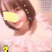 ヒメ日記 2025/04/12 08:01 投稿 サクラ ラブコレクション