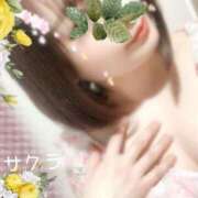 ヒメ日記 2025/04/12 20:31 投稿 サクラ ラブコレクション