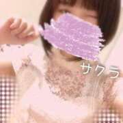 ヒメ日記 2025/04/15 11:46 投稿 サクラ ラブコレクション