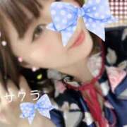 ヒメ日記 2025/04/16 10:46 投稿 サクラ ラブコレクション