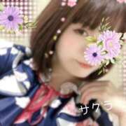 ヒメ日記 2025/04/16 12:46 投稿 サクラ ラブコレクション