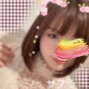 ヒメ日記 2025/04/19 09:01 投稿 サクラ ラブコレクション