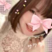ヒメ日記 2025/04/19 12:46 投稿 サクラ ラブコレクション