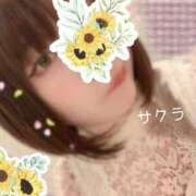 ヒメ日記 2025/04/19 16:46 投稿 サクラ ラブコレクション