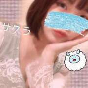 ヒメ日記 2025/04/20 04:46 投稿 サクラ ラブコレクション