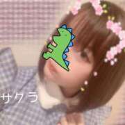 ヒメ日記 2025/04/20 08:01 投稿 サクラ ラブコレクション