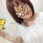 ヒメ日記 2025/04/28 04:46 投稿 サクラ ラブコレクション