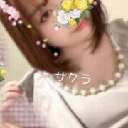 ヒメ日記 2025/04/28 08:31 投稿 サクラ ラブコレクション