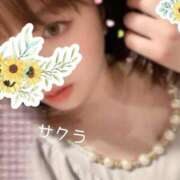 ヒメ日記 2025/04/28 18:31 投稿 サクラ ラブコレクション