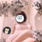 ヒメ日記 2025/04/29 05:16 投稿 サクラ ラブコレクション