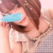 ヒメ日記 2025/04/29 09:46 投稿 サクラ ラブコレクション