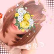 ヒメ日記 2025/04/29 11:46 投稿 サクラ ラブコレクション