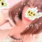 ヒメ日記 2025/04/29 19:16 投稿 サクラ ラブコレクション