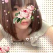 ヒメ日記 2025/04/29 19:46 投稿 サクラ ラブコレクション