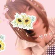 ヒメ日記 2025/04/29 21:46 投稿 サクラ ラブコレクション