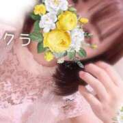 ヒメ日記 2025/04/30 05:16 投稿 サクラ ラブコレクション