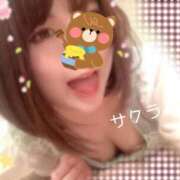 ヒメ日記 2025/04/30 15:01 投稿 サクラ ラブコレクション