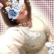 ヒメ日記 2025/04/30 15:31 投稿 サクラ ラブコレクション