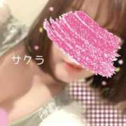 ヒメ日記 2025/05/01 08:01 投稿 サクラ ラブコレクション