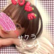 ヒメ日記 2025/05/01 10:01 投稿 サクラ ラブコレクション