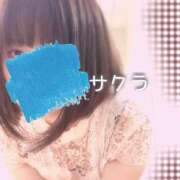 ヒメ日記 2025/05/04 05:16 投稿 サクラ ラブコレクション