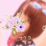 ヒメ日記 2025/05/05 06:31 投稿 サクラ ラブコレクション