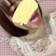 ヒメ日記 2025/05/06 05:16 投稿 サクラ ラブコレクション