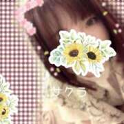 ヒメ日記 2025/05/07 13:46 投稿 サクラ ラブコレクション