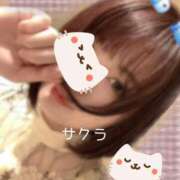 ヒメ日記 2025/05/07 14:31 投稿 サクラ ラブコレクション