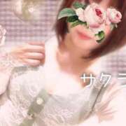 ヒメ日記 2025/05/10 05:16 投稿 サクラ ラブコレクション