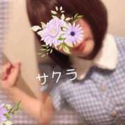 ヒメ日記 2025/05/10 12:01 投稿 サクラ ラブコレクション