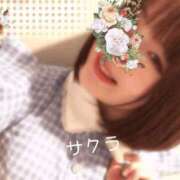 ヒメ日記 2025/05/10 21:46 投稿 サクラ ラブコレクション