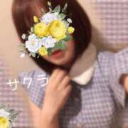 ヒメ日記 2025/05/10 22:01 投稿 サクラ ラブコレクション