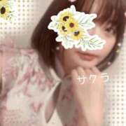 ヒメ日記 2025/05/26 08:16 投稿 サクラ ラブコレクション