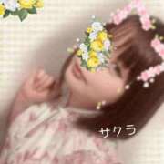 ヒメ日記 2025/05/26 18:01 投稿 サクラ ラブコレクション