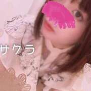 ヒメ日記 2025/05/27 05:16 投稿 サクラ ラブコレクション