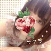 ヒメ日記 2025/05/27 09:31 投稿 サクラ ラブコレクション