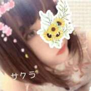 ヒメ日記 2025/05/27 16:01 投稿 サクラ ラブコレクション