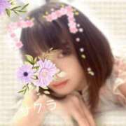 ヒメ日記 2025/05/27 16:31 投稿 サクラ ラブコレクション