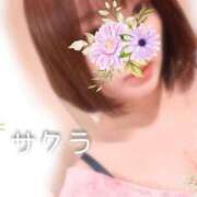 ヒメ日記 2025/05/28 04:46 投稿 サクラ ラブコレクション