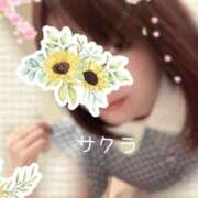 ヒメ日記 2025/05/28 08:31 投稿 サクラ ラブコレクション