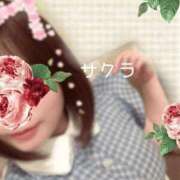 ヒメ日記 2025/05/28 10:16 投稿 サクラ ラブコレクション