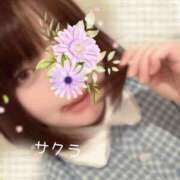 ヒメ日記 2025/05/28 13:16 投稿 サクラ ラブコレクション