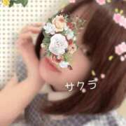 ヒメ日記 2025/05/28 14:46 投稿 サクラ ラブコレクション