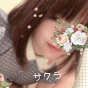 ヒメ日記 2025/05/28 16:16 投稿 サクラ ラブコレクション