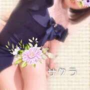 ヒメ日記 2025/05/29 04:46 投稿 サクラ ラブコレクション