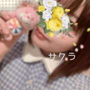 ヒメ日記 2025/05/29 12:46 投稿 サクラ ラブコレクション